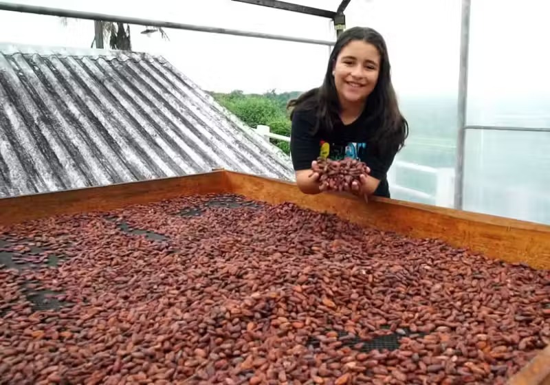 Julia produz chocolate com o cacau que sua família produz